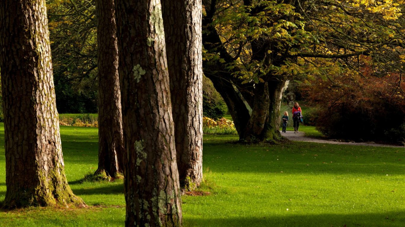 Muckross House and Gardens_Web Size (1)