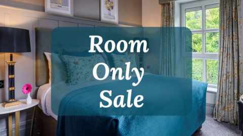 Room Only Sale - Rooms from &euro;119.