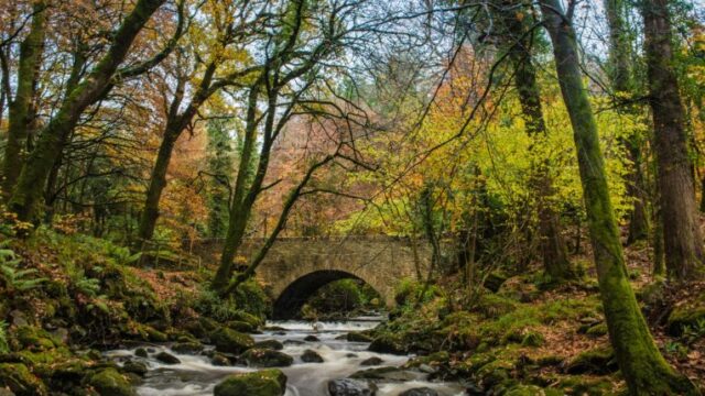 CC031-Muckross-Killarney-scaled-764×493